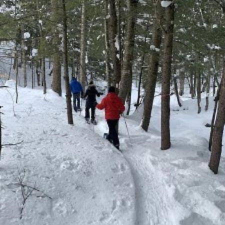 Paradis Sauvage Geronimo Saint-Etienne-de-Bolton Dış mekan fotoğraf