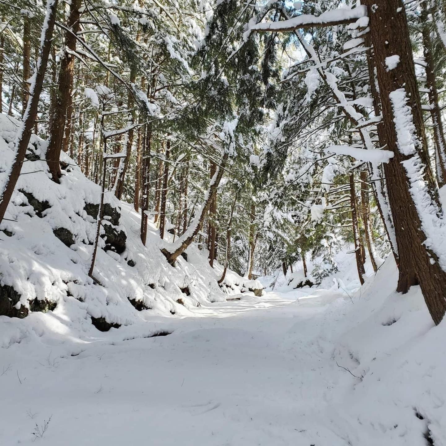 Paradis Sauvage Geronimo Saint-Etienne-de-Bolton Dış mekan fotoğraf