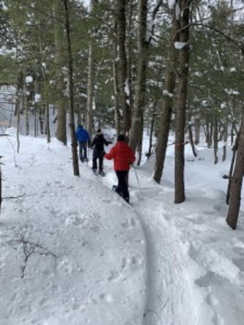 Paradis Sauvage Geronimo Saint-Etienne-de-Bolton Dış mekan fotoğraf